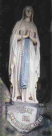 ����}���A�̑�