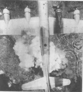 ����P�̗l�q